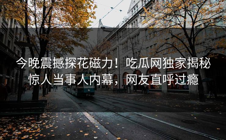 今晚震撼探花磁力！吃瓜网独家揭秘惊人当事人内幕，网友直呼过瘾  第1张