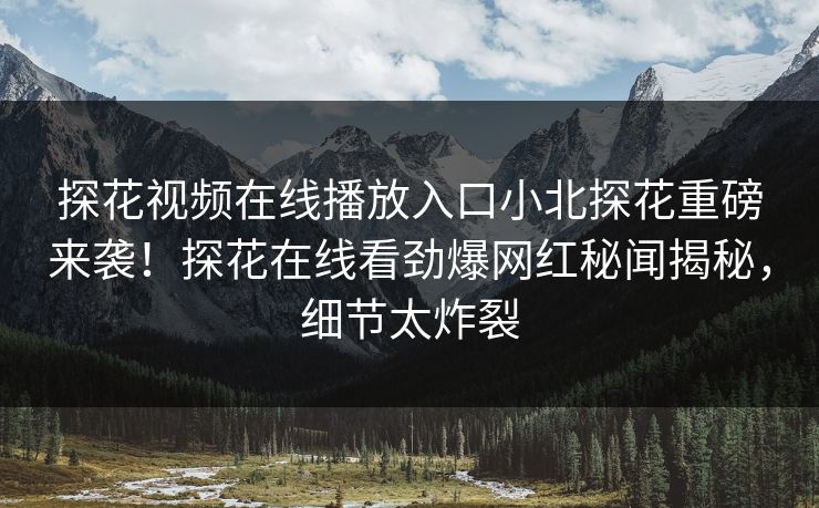 探花视频在线播放入口小北探花重磅来袭！探花在线看劲爆网红秘闻揭秘，细节太炸裂  第1张