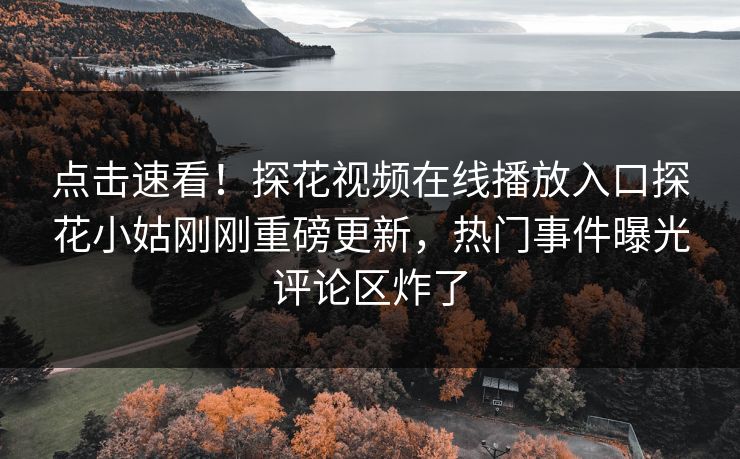 点击速看！探花视频在线播放入口探花小姑刚刚重磅更新，热门事件曝光评论区炸了  第1张