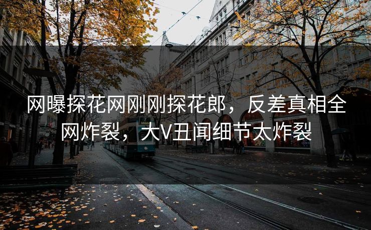 网曝探花网刚刚探花郎，反差真相全网炸裂，大V丑闻细节太炸裂  第1张