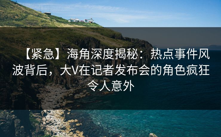 【紧急】海角深度揭秘：热点事件风波背后，大V在记者发布会的角色疯狂令人意外