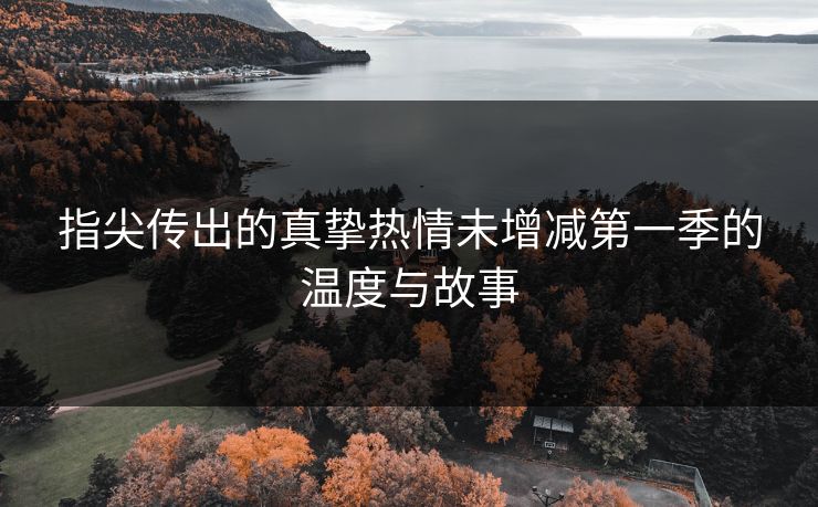 指尖传出的真挚热情未增减第一季的温度与故事