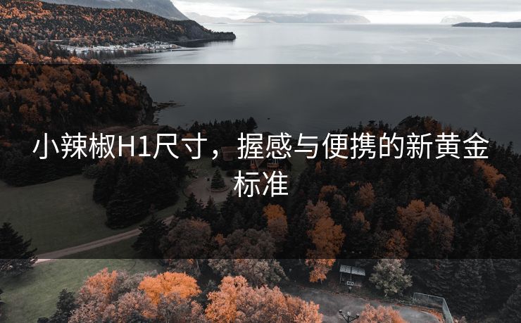 小辣椒H1尺寸，握感与便携的新黄金标准